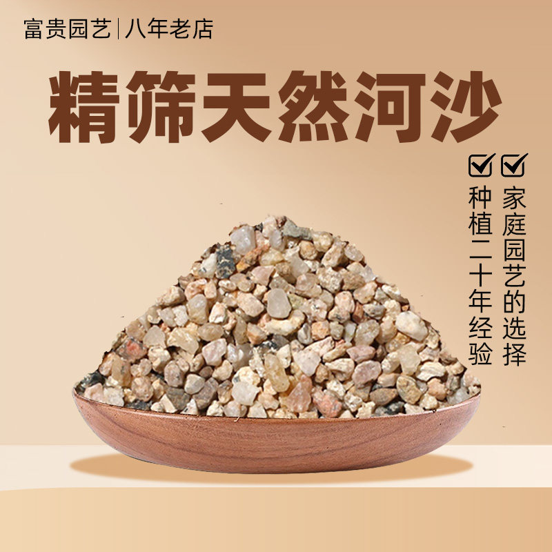 河沙粒精筛粗河砂多肉铺面石君子兰配土颗粒种植养花鱼缸造景底砂