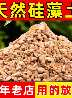 硅藻土颗粒种植介质多肉铺面石君子兰花火烧土媲美赤玉土垫材包邮