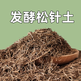 松针土橡树叶腐叶兰花腐熟松针多肉君子兰专用天然营养腐殖土