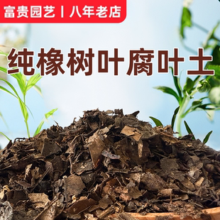 天然纯橡树叶腐熟君子兰专用有机腐叶土腐熟纯松针兰花专用营养土