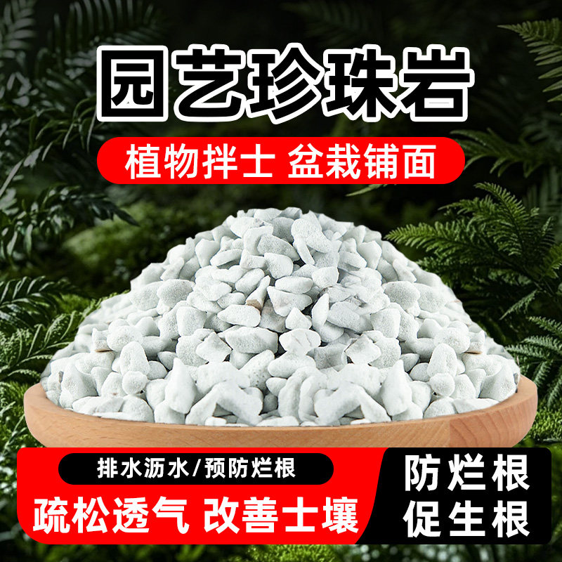 珍珠岩大颗粒多肉兰花营养土图片