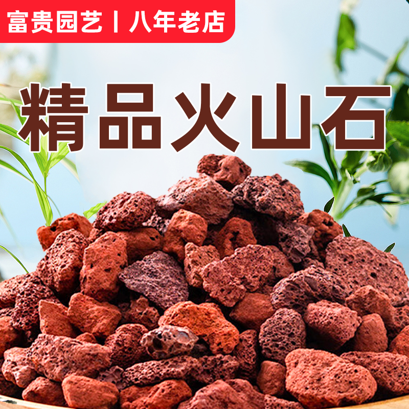 天然火山石颗粒养花专用多肉蝴蝶兰花营养土鱼缸底沙滤材铺面红岩