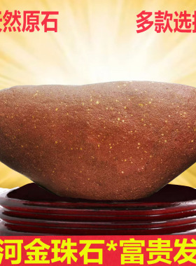 正宗黄河天然金珠原石元宝象形石红色石头客厅祝贺寿礼品奇石摆件