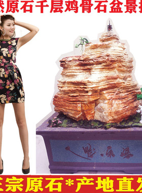 天然原石精品奇石千层鸡骨像形石