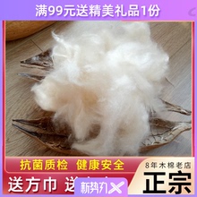 正品纯木棉枕芯全木棉花枕头散装天然攀枝花做枕头芯打坐垫填充物