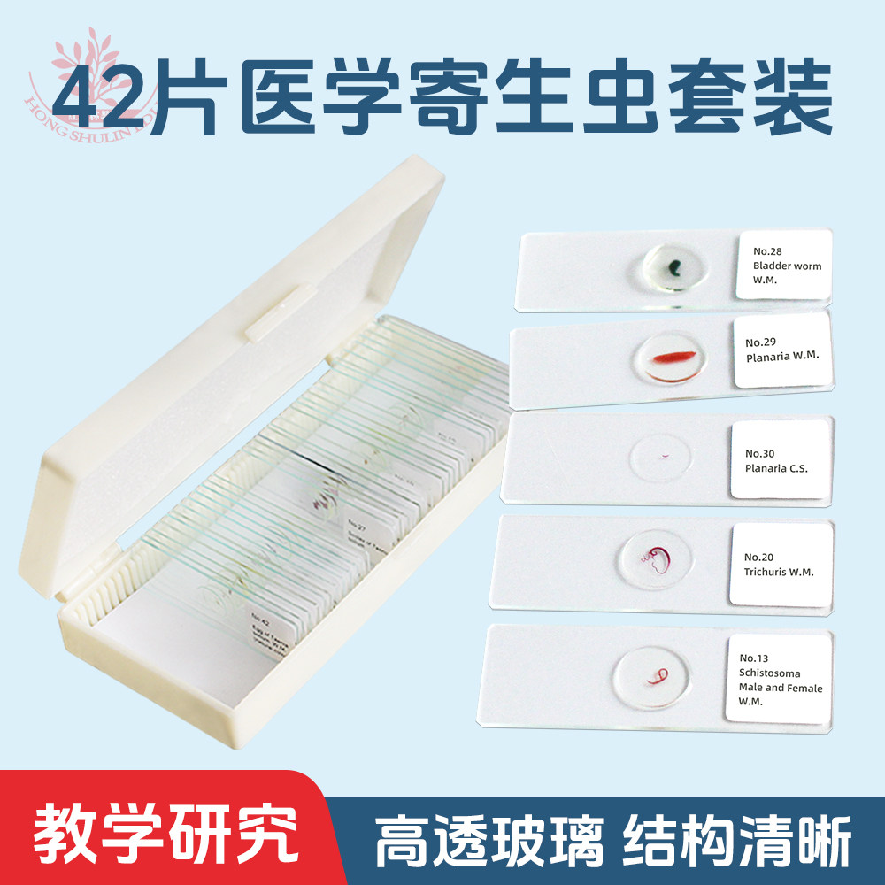 42片寄生虫显微镜切片套装医学院寄生虫学教学研究用生物标本切片
