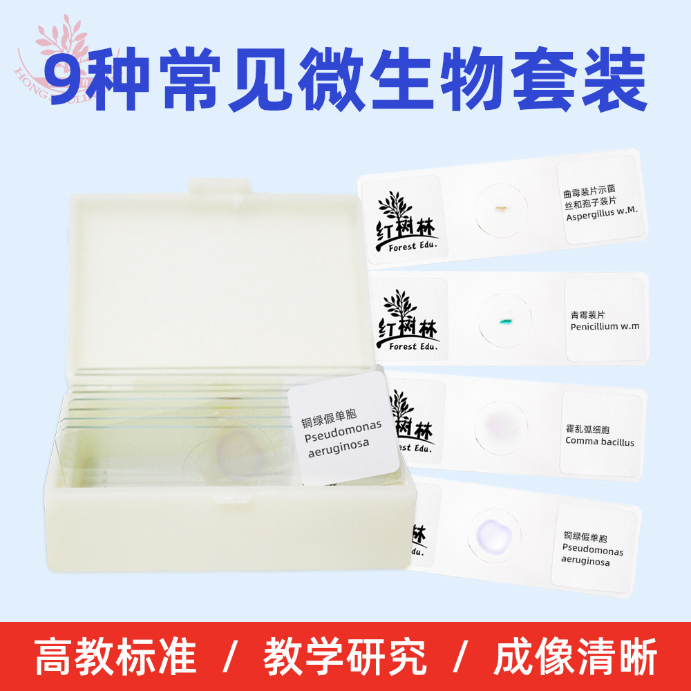 9种常见微生物细胞显微镜标本套装高教标准医学院教学研究用玻片