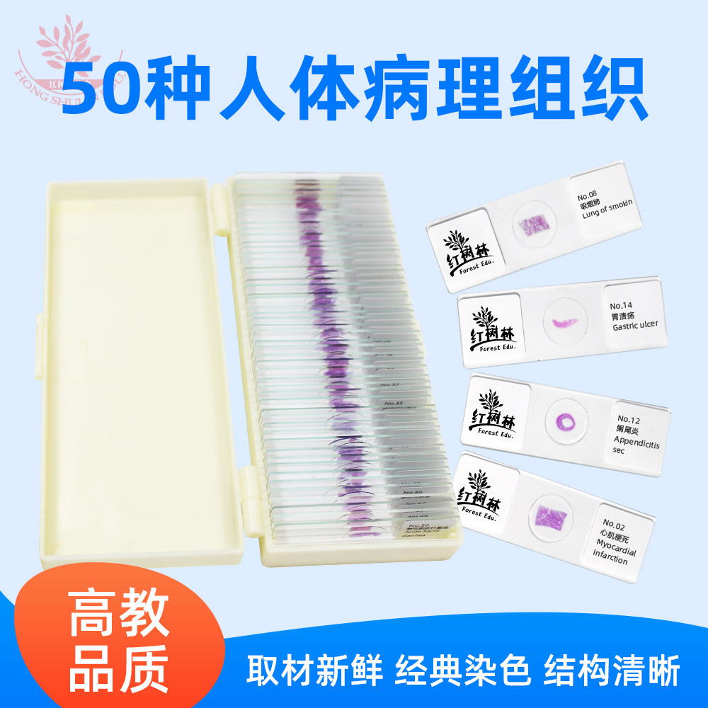 50种人体病理组织切片套装结构清晰高教品质医学院教学用病理玻片