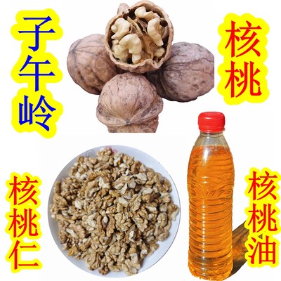 甘肃山核桃仁子午岭干核桃食用油