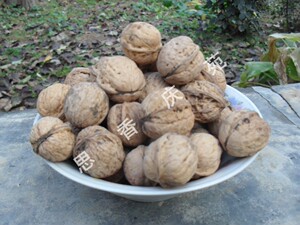 西北甘肃特产庆阳子午岭山核桃干货胜新疆纸皮核桃胡羌桃500g核果