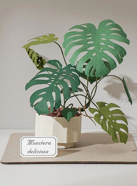 【纸模植物】jeancard立体纸雕3d镭射diy材料包纸风景龟背芋