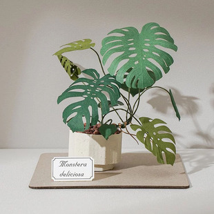 【纸模植物】jeancard立体纸雕3d镭射diy材料包纸风景龟背芋