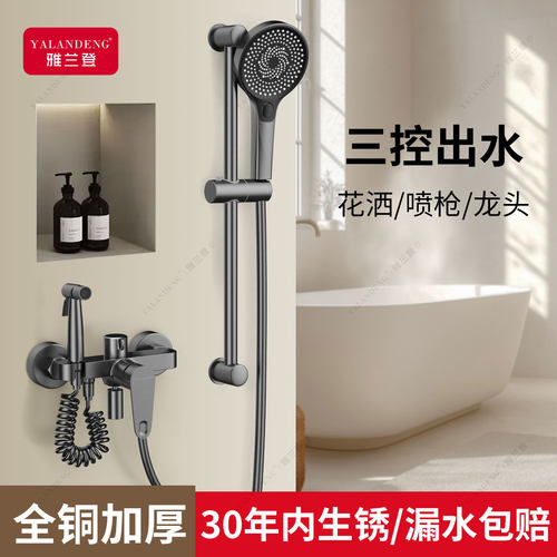 德国淋浴花洒套装无顶喷家用