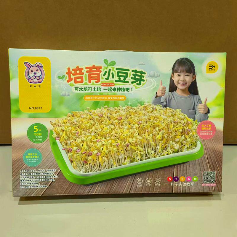 泡生豆芽菜种专用黄豆种子做发豆芽菜水培土培蔬菜种植盆儿童玩具
