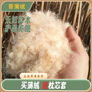 植物香蒲绒枕头填充物蒲絮水蜡烛芦花蒲草天然香蒲枕护颈送枕芯套