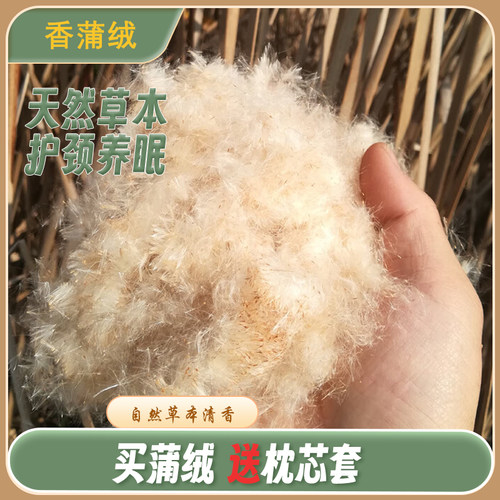 植物香蒲绒枕头填充物蒲絮水蜡烛芦花蒲草天然香蒲枕护颈送枕芯套