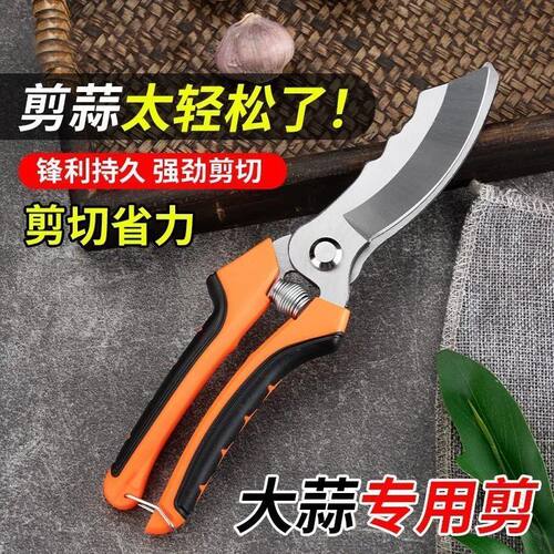蒜剪圆葱专用剪刀农用干湿蒜杆胡蒜头须工具生姜大葱洋葱剪神器