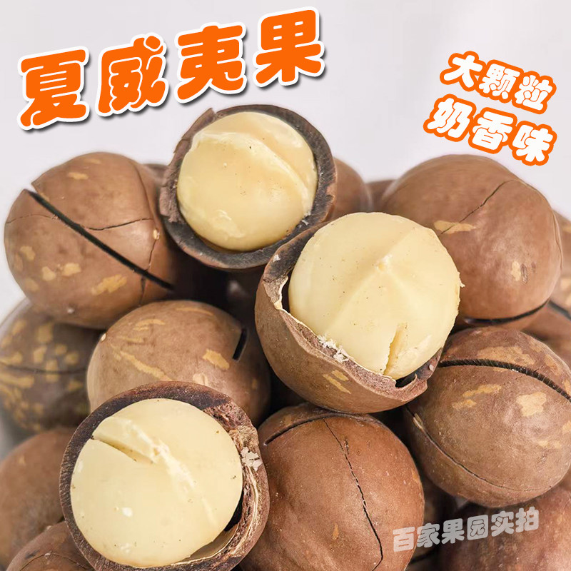夏威夷果中果大果年货坚果零食