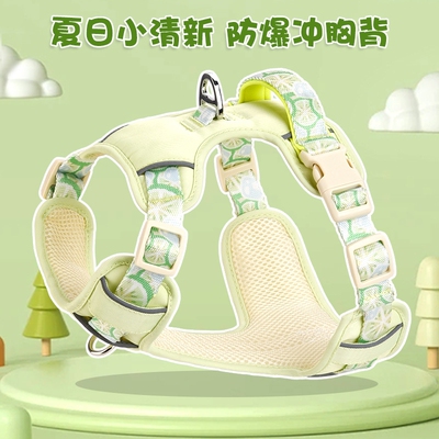 小狗狗牵引绳背心式遛狗绳子中小型犬比熊泰迪夏季胸背带狗链子