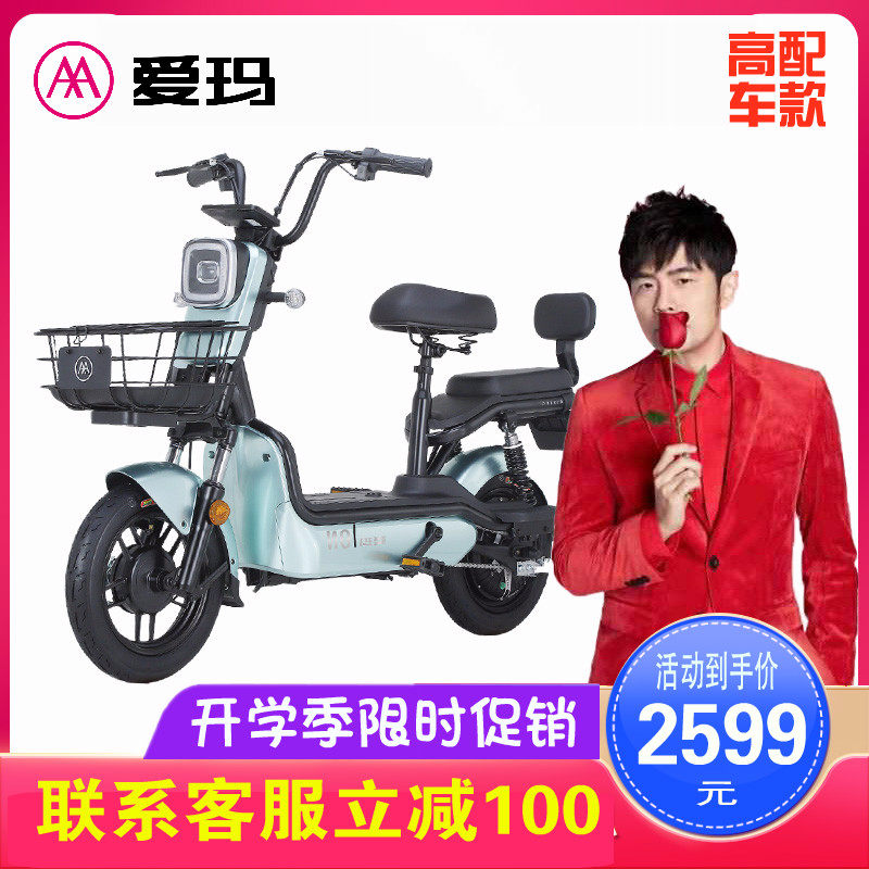 大电池电动车 价格 怎么样 图片