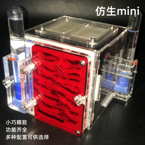 掌中宝蚁巢小巧精致新手入门级