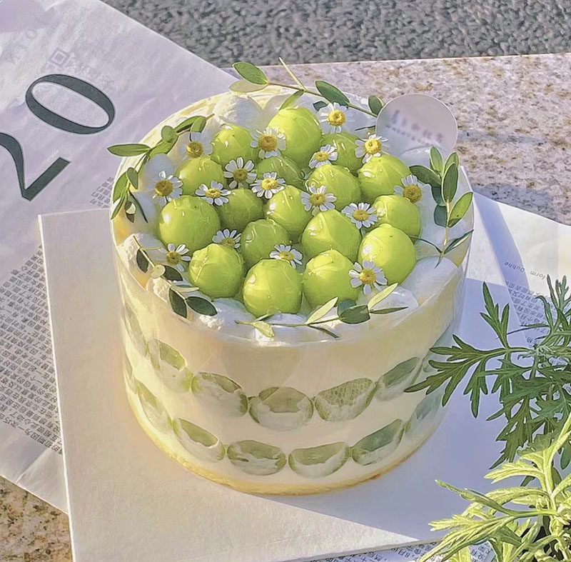 低糖动物奶油生日蛋糕晴王青提低糖新鲜水果蛋糕成都同城