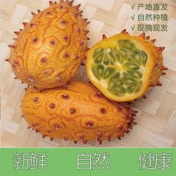 非洲火参果新鲜刺角瓜火星果灭霸同款稀奇古怪孕妇儿童海参果包邮