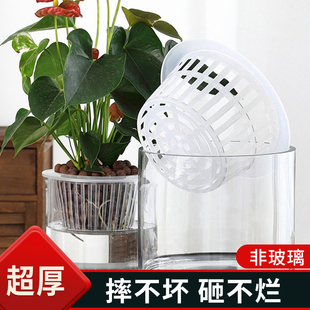 水培固根定植器摔不坏无土栽培定植篮塑料杯育苗加深定植篮固根器