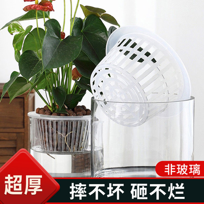 PC塑料定植篮加厚耐用耐摔