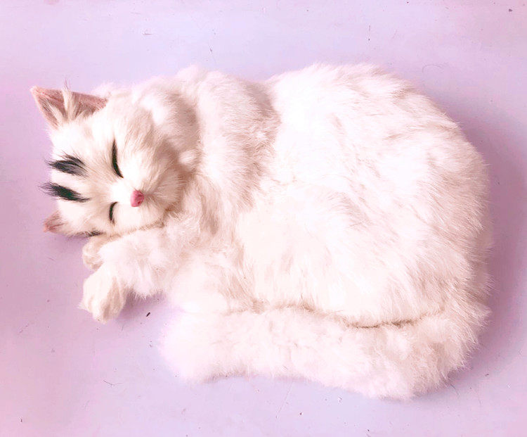 动物模型 仿真猫 皮毛睡猫黑猫白猫摄影道具玩具园林场景家居摆件