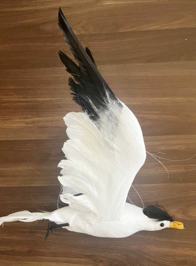 动物模型仿真海鸥中华凤头燕鸥