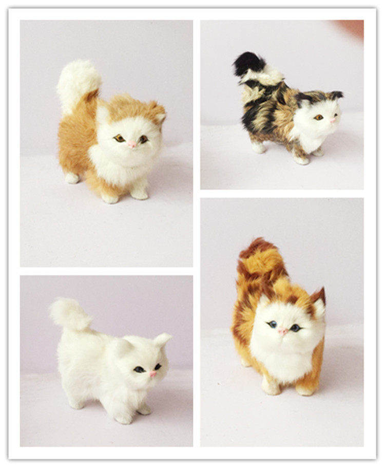 动物标本模型仿真猫白猫小猫 猫咪宠物玩具 摄影道具教学素材