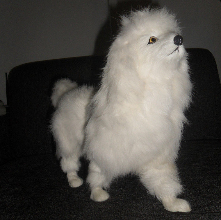 仿真动物模型 贵妇 贵宾犬仿真狗 摄影舞台道具场景装饰 特价包邮