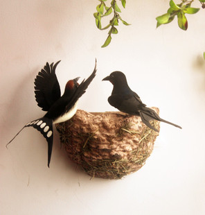 动物模型 仿真燕子小鸟燕窝燕巢鸟窝春季美陈装饰品 摄影道具