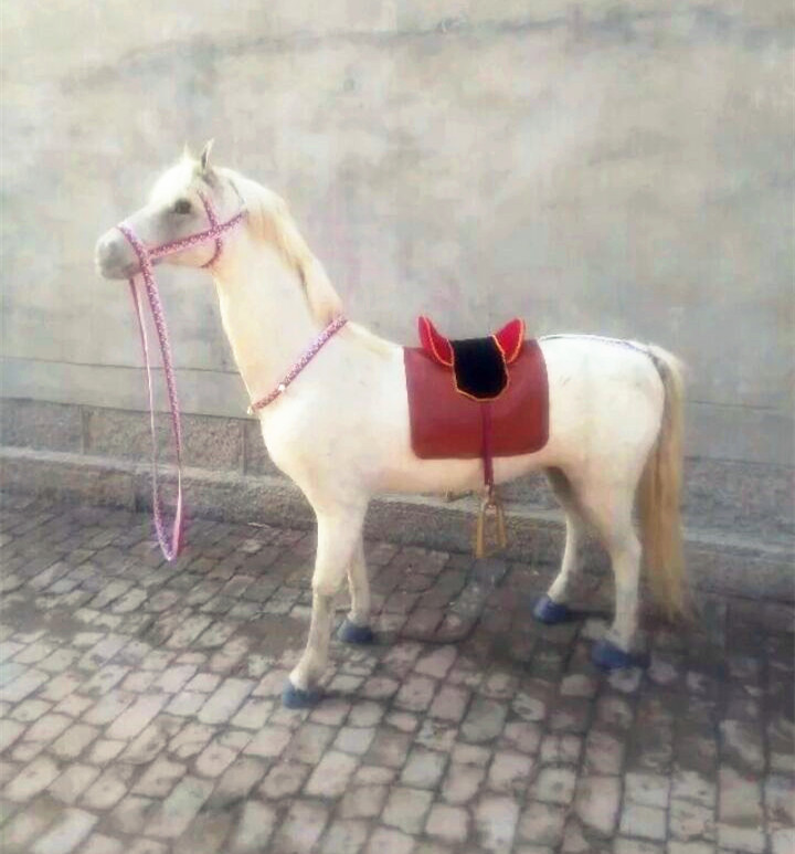 动物模型仿真马摄影道具