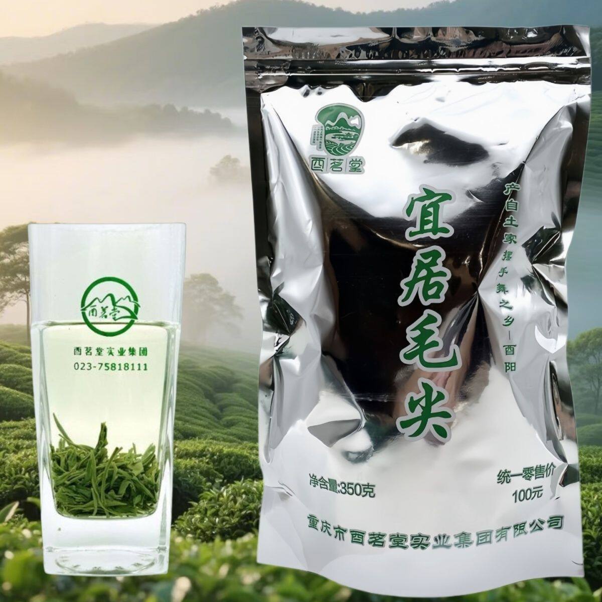 新茶绿茶2025毛尖嫩芽清茶叶荼叶散装优质重庆酉阳宜居毛尖茶350g
