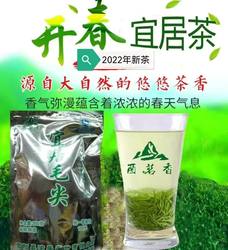 新茶绿茶2024毛尖嫩芽清茶叶荼叶散装优质重庆酉阳宜居毛尖茶350g