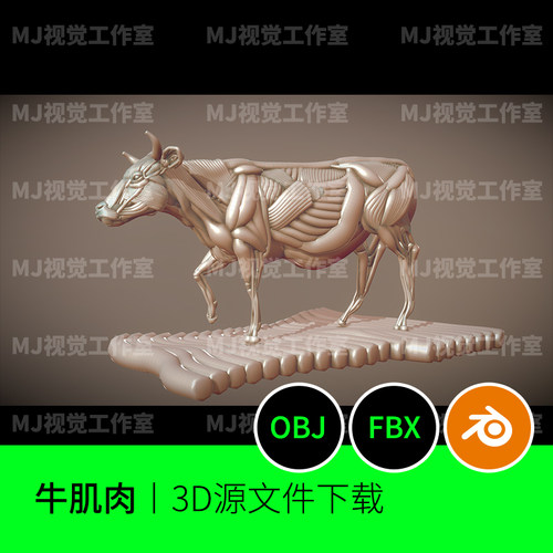 牛肌肉部位3D三维模型素材文件下载blender建模FBX+OBJ516