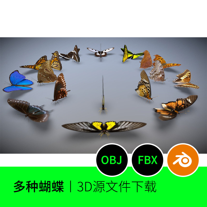 多种蝴蝶3D模型建模生物素材贴图blender三维文件下载FBX OBJ 916