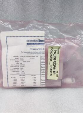 Coastal Instruments 客思特设备 质量流量计 PFD-101 30SLM H2
