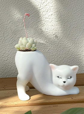 创意可爱猫尾巴柱花盆装饰摆件