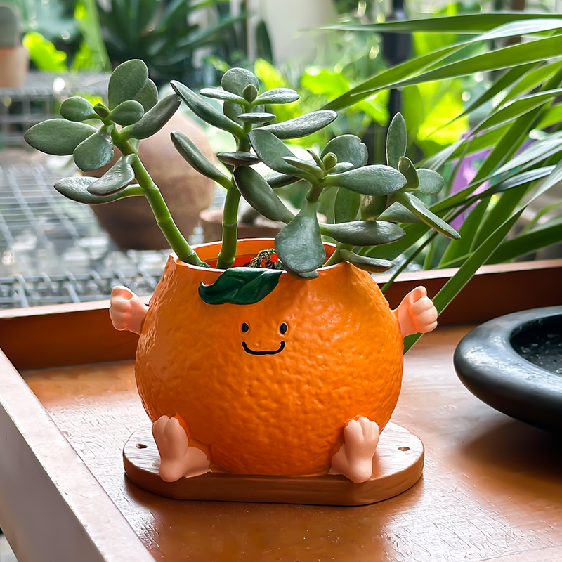 橘子可爱笑脸多肉花盆绿植物摆件