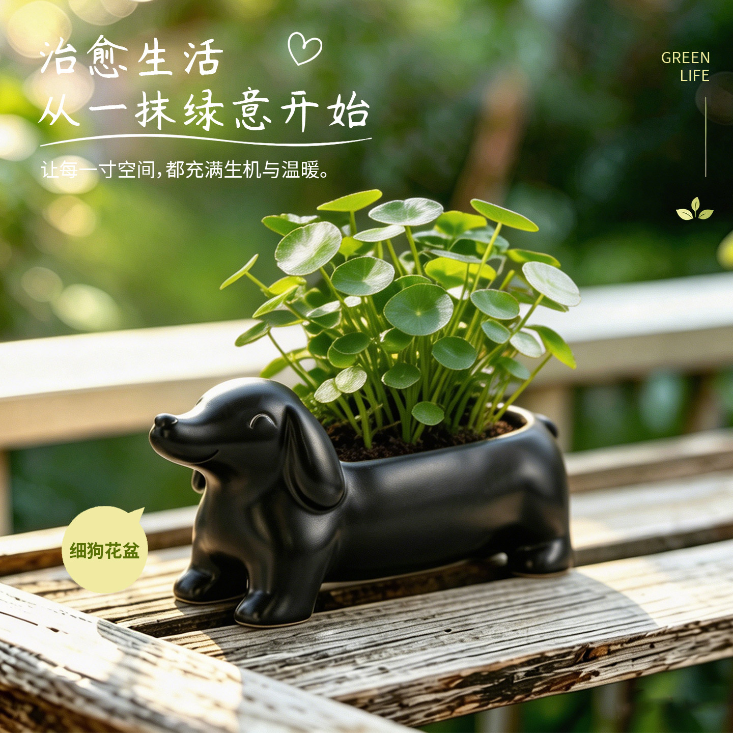 黑色腊肠犬造型花盆长型小狗家用室内窗台水培土培个性绿植盆栽