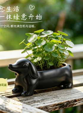 黑色腊肠犬造型花盆长型小狗家用室内窗台水培土培个性绿植盆栽