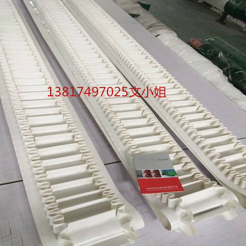 裙边pvc流水线工业皮带