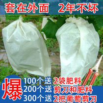 厂家直销葡萄袋子防虫防鸟防水果袋包葡萄套袋专用套葡萄纸袋