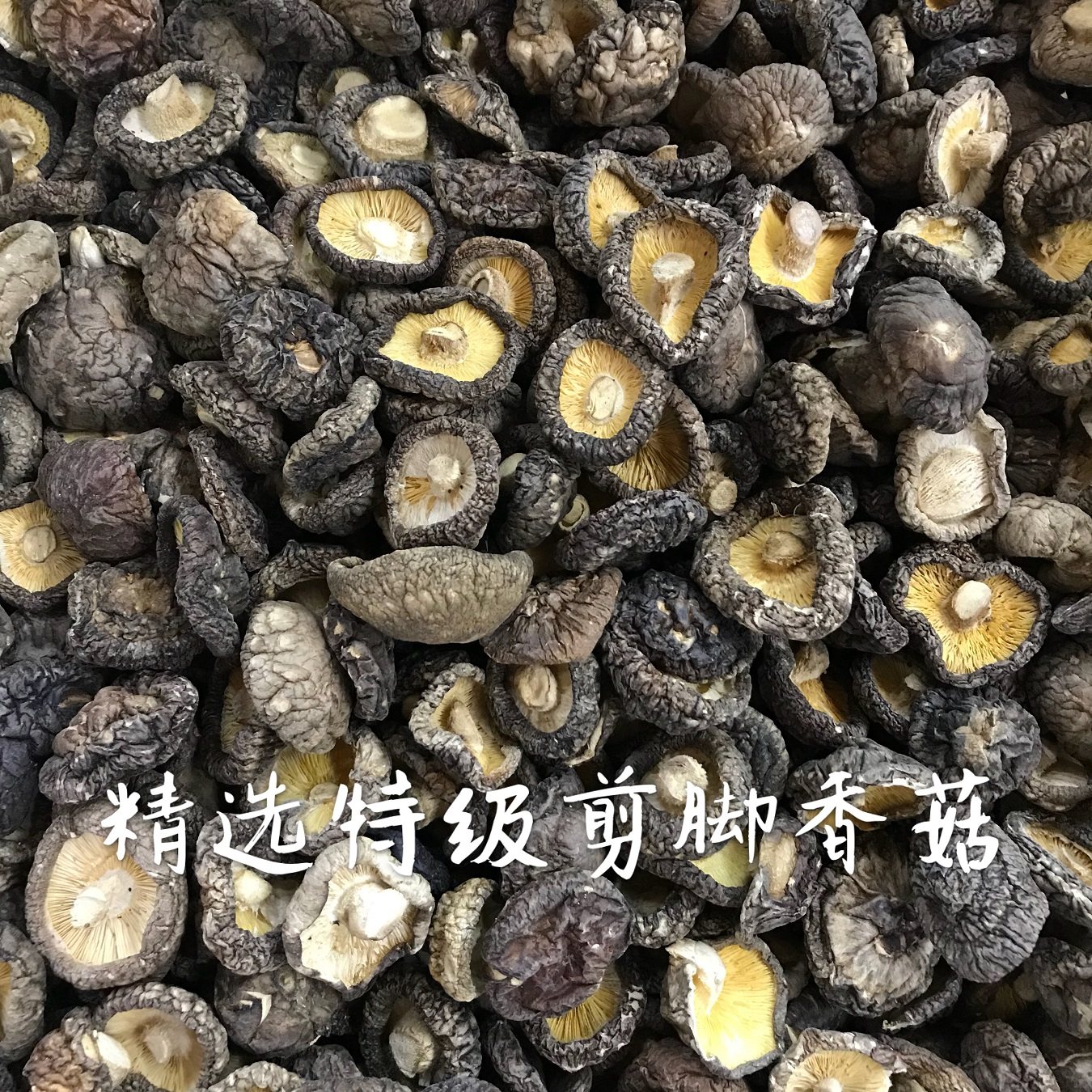 福建闽北邵武大山特产 正宗精选特级剪脚香菇干冬菇干货200克包邮