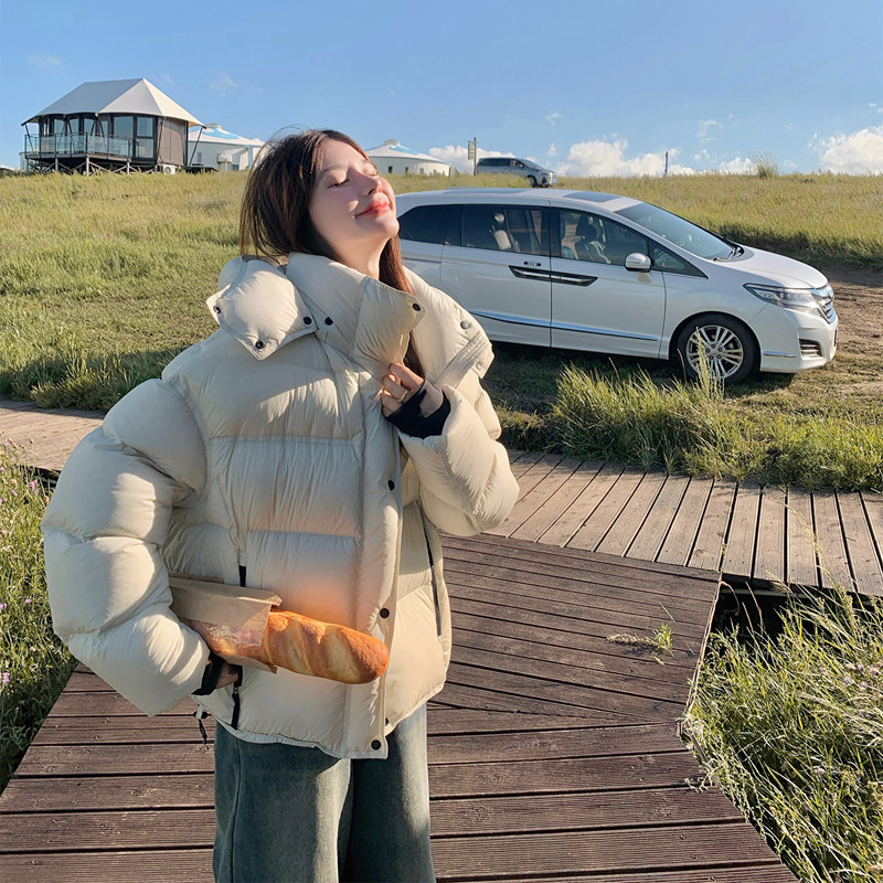 【现货好数据】短款连帽羽绒服蓬松面包服005-6030-P345-P518，女装羽绒服，浙宝005