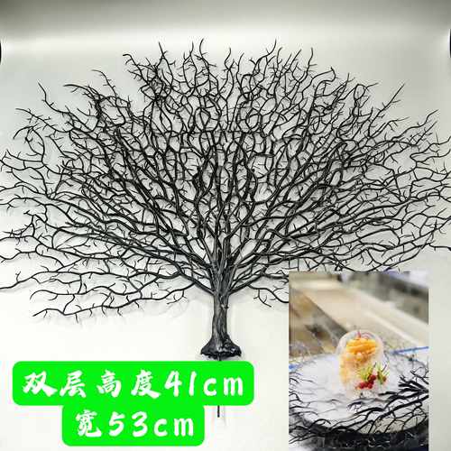 创意意境刺身围边寿司点缀摆盘