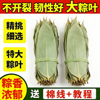 粽叶干大号新鲜粽子叶包粽子专用特大野生竹箬叶端午节商用批发